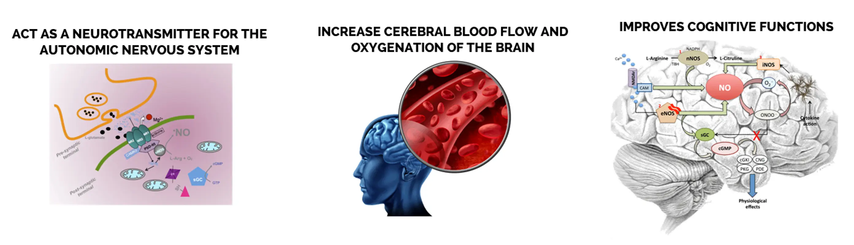 UriLess mechanism of action-