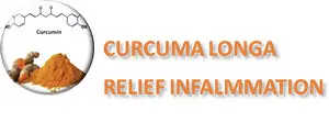 Curcuma Longa Relief Inflammation