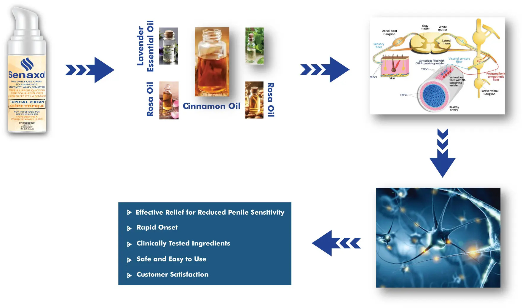 Senaxol mechanism of action