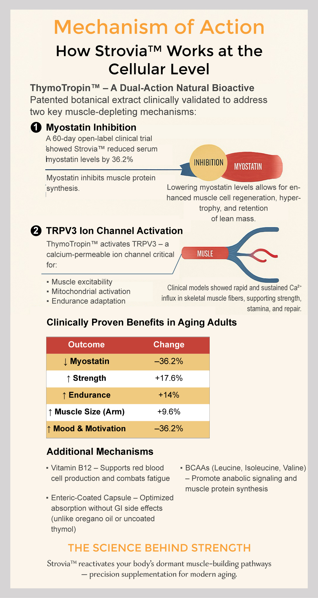 Strovia Mechanism of Action Figure