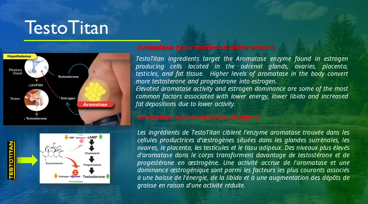 TestoTan Mechanism of Action Figure